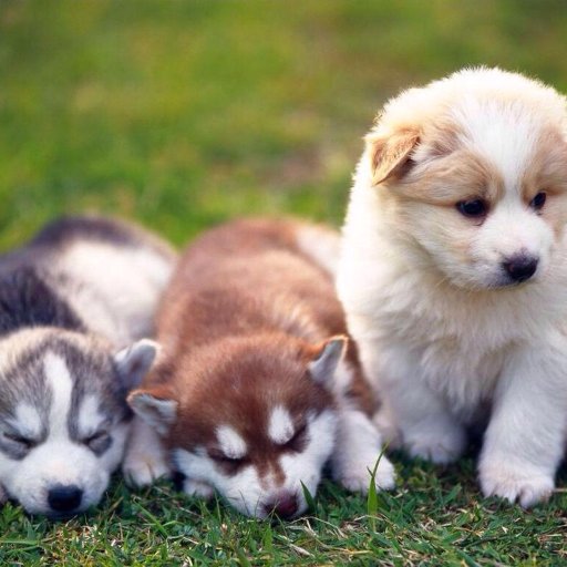 mrsmimukutar's profile picture. 