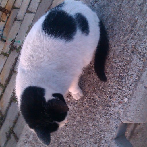 ENGlNEFREAK's profile picture. 