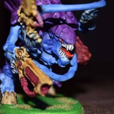 Hobby painter, Non-competitive 40k player