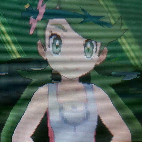 Hi, I'm Mallow, one of many Trial Captains of Alola! Pleased to meet your acquaintance. Press a to pound! *Actually, please don't*