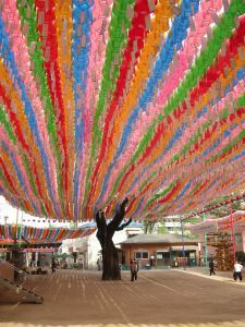 dharmatweets's profile picture. Fighting attachment one Twitter at a time. Original (and hopefully useful) thoughts on buddhism, mindfulness, and life.