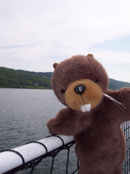 jojobooster's profile picture. Manic depressive brit in NZ