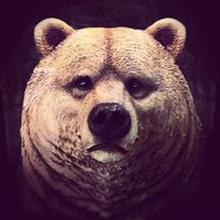 Shane Mielke (@shanemielke) 's Twitter Profile Photo Shane Mielke (@shanemielke) 's Twitter Profile Photo