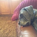 Jocelyn Plummer - @JocelynPlummer1 - Twitter