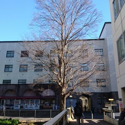 ryogo_108's profile picture. 競プロ.
