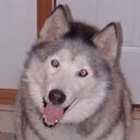 jon kaufmann - @theflyingguy - Twitter