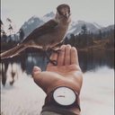 MSM_ALMH (@0552411200) Twitter
