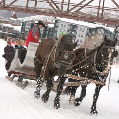 We provide scenic sleigh rides and home-cooked meals up on @PCski in beautiful Park City, UT. Come visit us for a gourmet meal and live music!