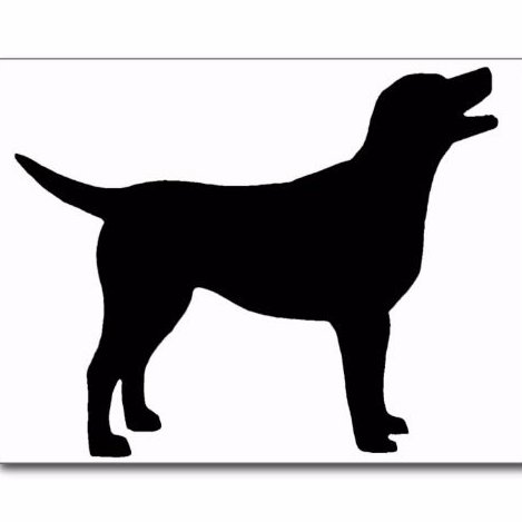 Wflki's profile picture. Good guy during the day - Infosec