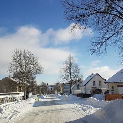 thomashodek's profile picture. 