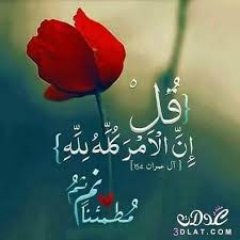 •شركة تجارية متخصصة في استيراد و تصدير كافة المنتجات من الي الكويت . بأفضل مستوى من المهارة و الخبرات و بأعلى معايير للجودة و السلامة#تسويق#عقارات#تدريب