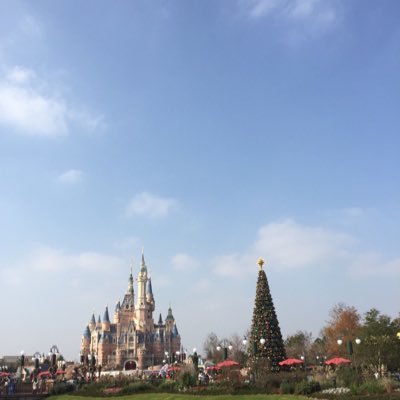 chelsyliu_SH's profile picture. everyday is my life...