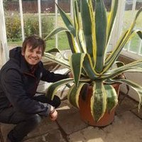 Christopher Hepworth (@drchrishepworth) 's Twitter Profile