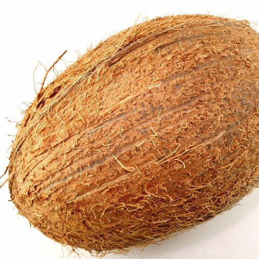 RobotCoconutHD's profile picture. you're here now.
🗿Hey there🗿.  A 26 year old internet cryptid. my dog is Pig (Mrs. piggy is her full name)
  
He/Him. Billy 
art twitter @RobotcoconuthdA