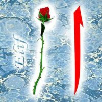 elif keskin🌹 (@elifkes80) Twitter profile photo