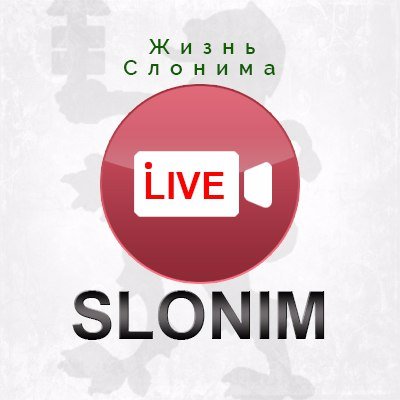 слонимские новости Слоним Slonim news происшествия чп аварии слонимчане убийство изнасилование беларусь гродно минск belarus жировичи жировицы