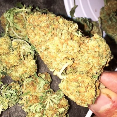 Top Shelf Buds, Straight out of California! Serious buyers * (Dm for inquires) Shipping overnight! Number one source!! Growers & Trimers Shop Today!