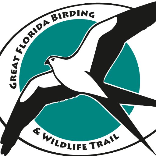 Great Florida Birding & Wildlife Trail a program of the Florida Fish & Wildlife Conservation Commission. Follows do not = endorsements.