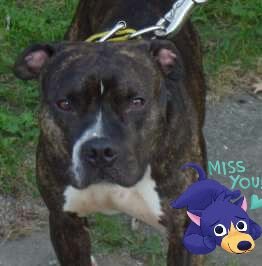 Theresa30955667's profile picture. 