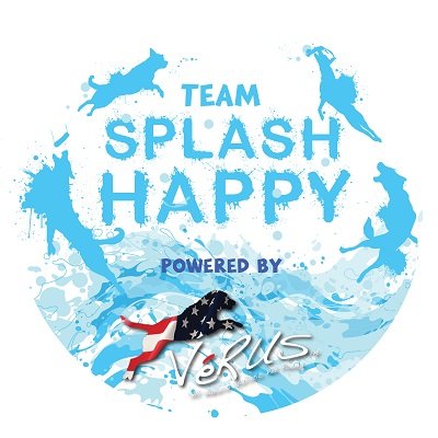 SplashHappyDogs Profile Picture
