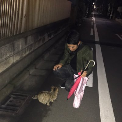 ゴリラは褒め言葉🦍