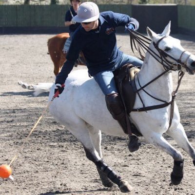 Polo player, pro umpire, polo pony trainer and polo coach. Also seem to be collecting art!