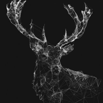 logan51410454's profile picture. 