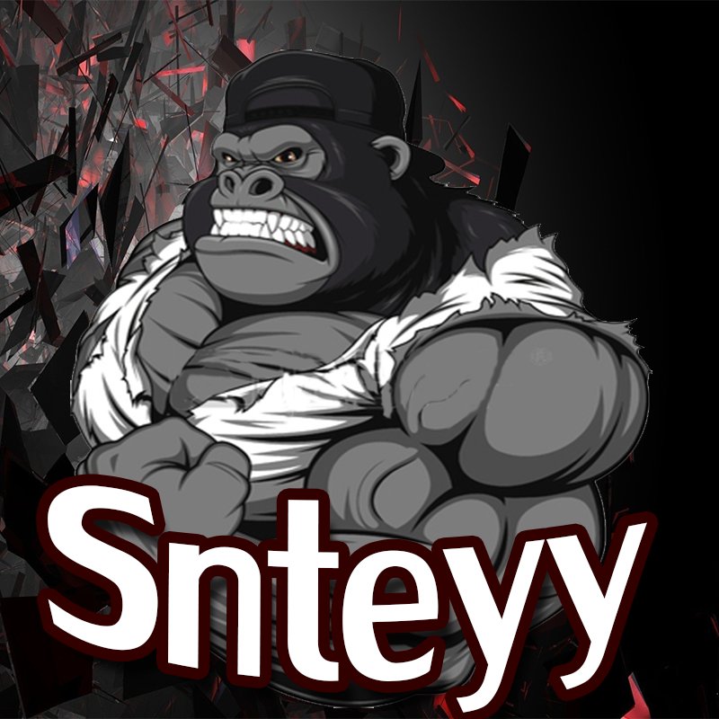 Team Snteyy !! Présent 👊🏼