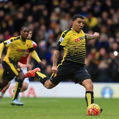 I FOLLOW BACK Fan page for the best Watford posts