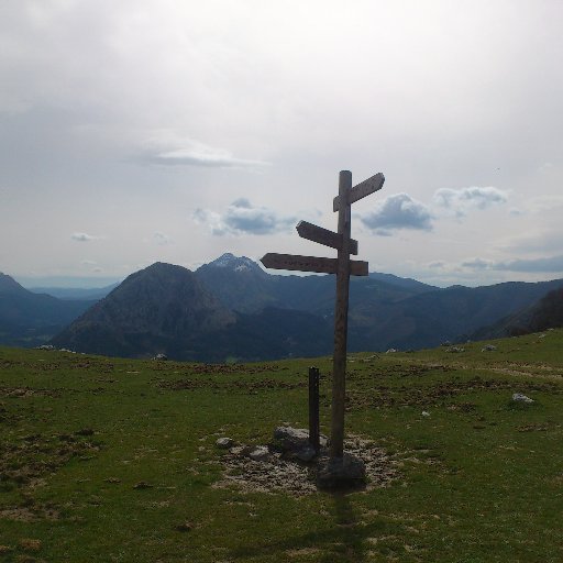 INK_2017's profile picture. 