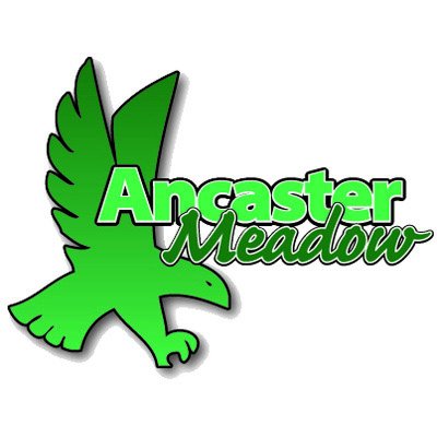 ancastermeadow Profile Picture