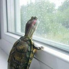 Fredokinsさんのプロフィール画像