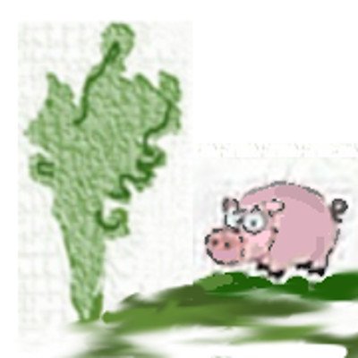 At https://t.co/oLSiwBL0vR I test out tips, tricks, and strategies that will help me achieve financial independence, join me on my journey to early retirement.