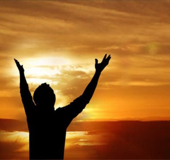 GonuldenDualar1's profile picture. 