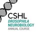 CSHLflyneurocourse (@cshlflycourse) Twitter profile photo CSHLflyneurocourse (@cshlflycourse) Twitter profile photo