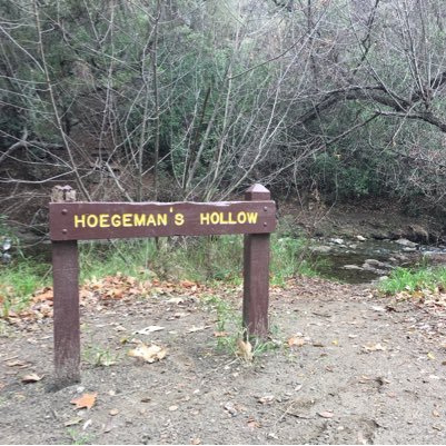 TomHoegeman's profile picture. 