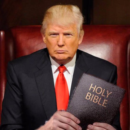 Donald Discovers the Bible