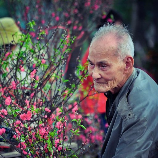 Hanoi Local Tour is a branch of Viet Vision Travel & Trading JSC. We offer the best deals on Hanoi city tours, excursions in and outside of Hanoi.