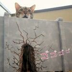 ZMNnrUF7VZaEnES's profile image