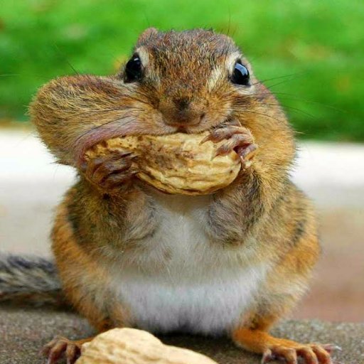 Mark_Deez's profile picture. Liquidity provider to markets. Offering support and resistance where applicable.