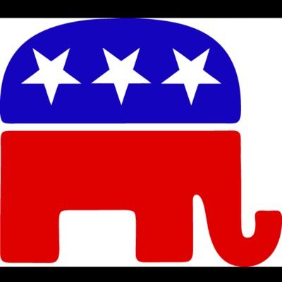 red__politics's profile picture. We are all lovely Deplorables