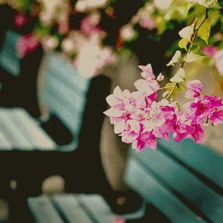 hy_a20's profile picture. تفــاءل بما تهوى يُكن...