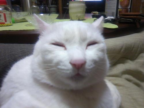 hotan24's profile picture. 