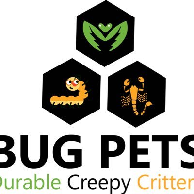 Bug Pets (@BugPetsUSA) | Twitter