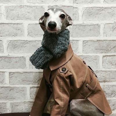 ppailinnee1's profile picture. The ordinary emotional girl #yizhan #wangyibo #xiaozhan