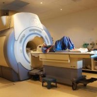 York Neuroimaging Centre (@uoy_ynic) 's Twitter Profile