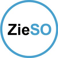 ZieSO-TUDelft (@ziesotudelft) 's Twitter Profile