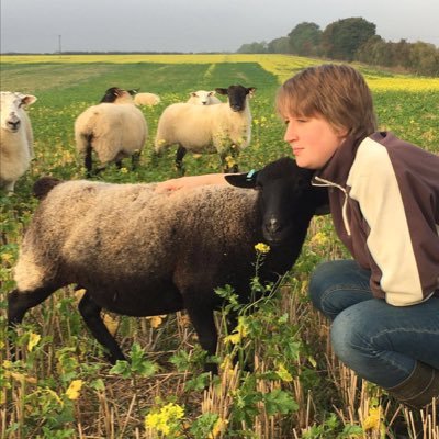 steeplechar's profile picture. Mummy, sheep and beef farmer, bovine artificial insemination, equine sports massage, specialist recruitment. Based in Oxfordshire. Views are my own.