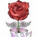 RisingRosesWI (@risingroseswi) Twitter profile photo RisingRosesWI (@risingroseswi) Twitter profile photo