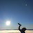 profile rt